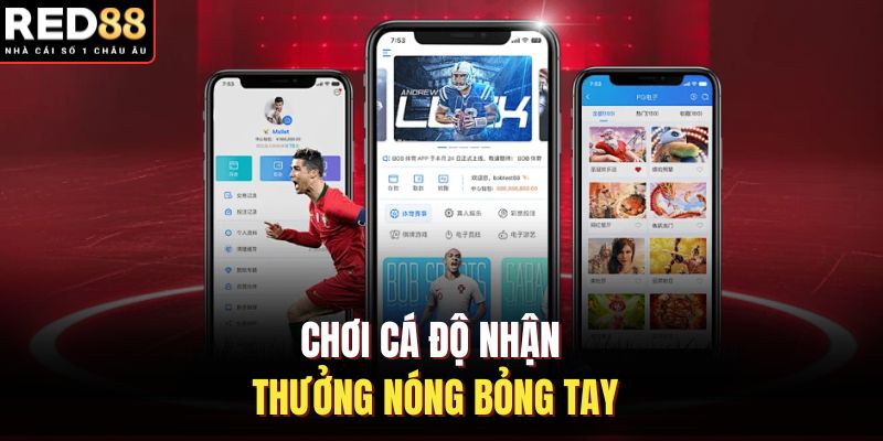 Chơi cá độ nhận thưởng nóng bỏng tay