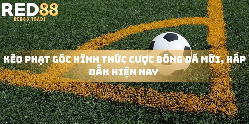 Kèo phạt góc hình thức cược bóng đá mới, hấp dẫn hiện nay